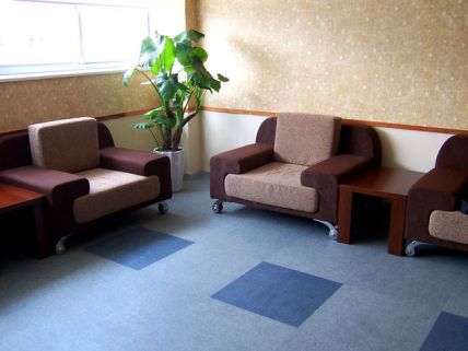 LG碟彩石片材地板